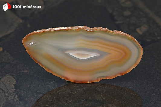 Tranche Agate naturelle Brésil - Détail de la progression beige, brun clair et zone centrale blanche - 27 g
