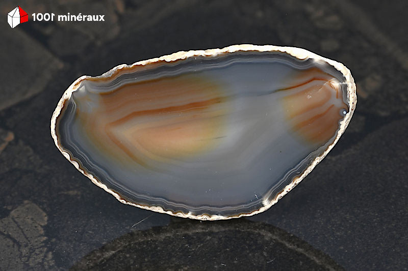 Tranche Agate naturelle Brésil - Détail du mélange brun et bleu-gris au cœur de la tranche - 34 g
