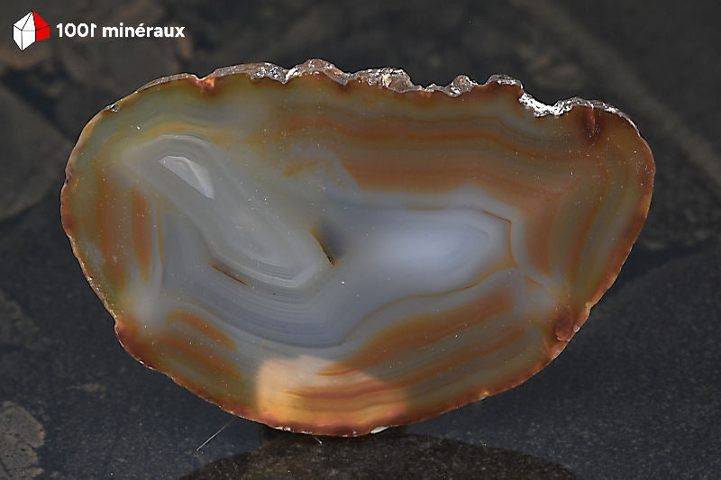 Tranche Agate naturelle Brésil - Forme ovoïde, fines bandes brun clair et foncé autour d'un centre translucide - 43 g - BH768
