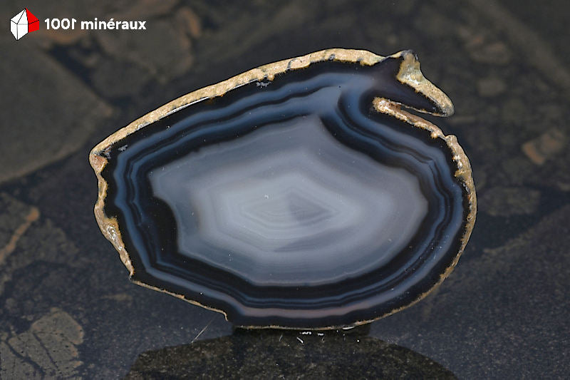 Tranche Agate teintée noire Brésil - Forme ovoïde, 2 bandes noires concentriques et centre translucide incolore - 37 g - BH771
