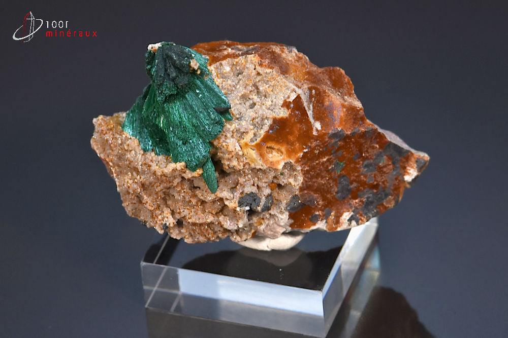 Minéral cristallisé de malachite soyeuse du Maroc