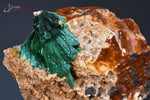Malachite soyeuse sur roche - Maroc - minéraux à cristaux 5,2cm / 46g / BH883 - Vignette | 1001 minéraux