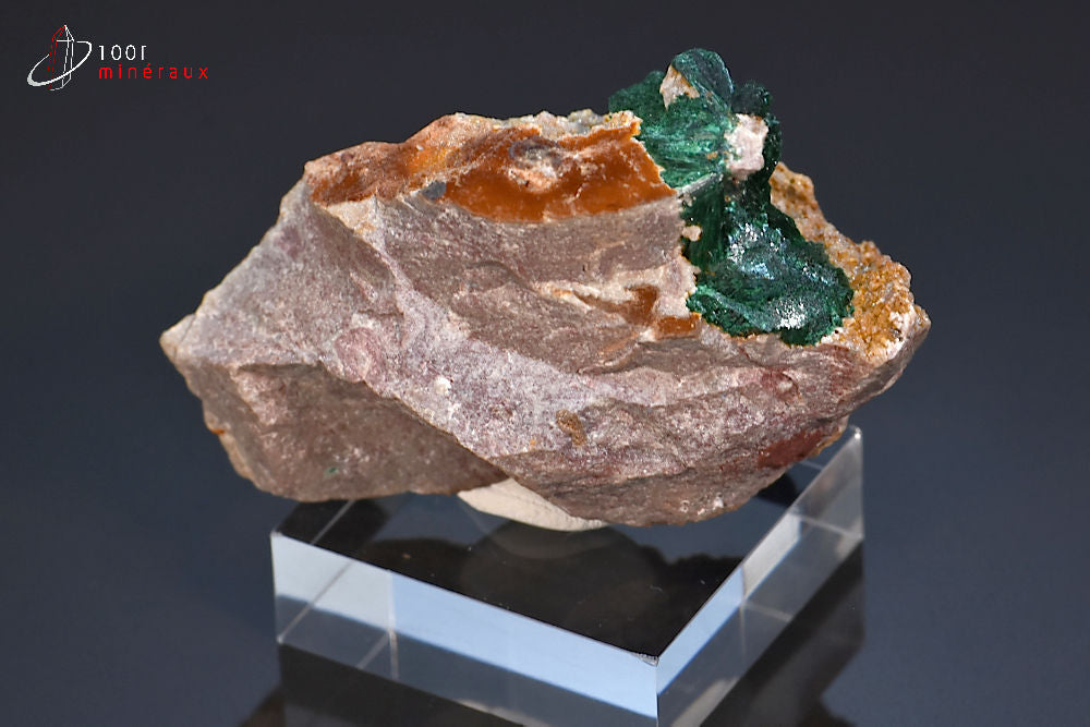 Minéral cristallisé de malachite soyeuse du Maroc