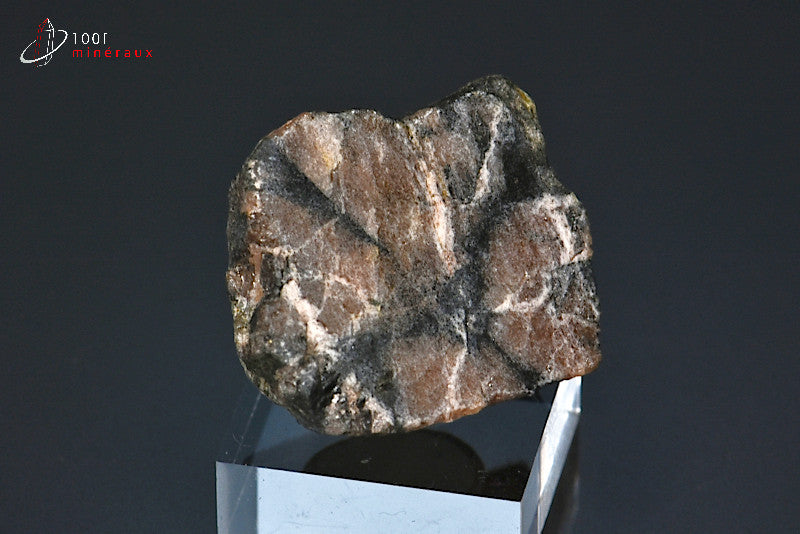 Minéral poli d'andalousite ou chiastolite de France