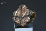 Chiastolite (ou Andalousite) polie - France - pierre polie 2,9 cm / 19g / BH943 - Vignette | 1001 minéraux