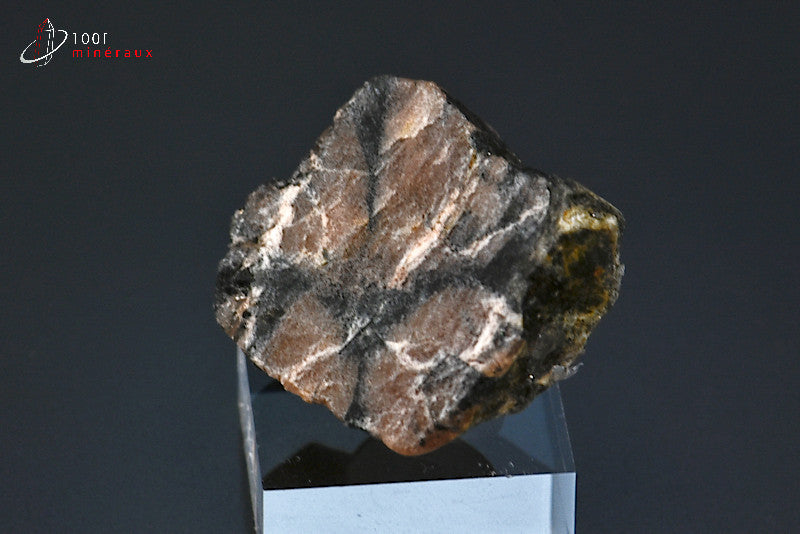 Minéral poli d'andalousite ou chiastolite de France