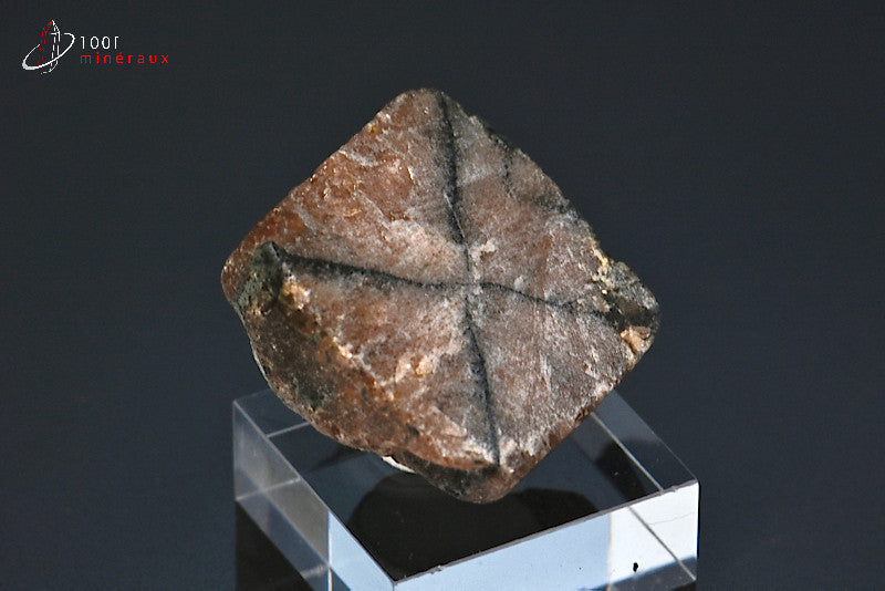 Minéral poli d'andalousite ou chiastolite de France