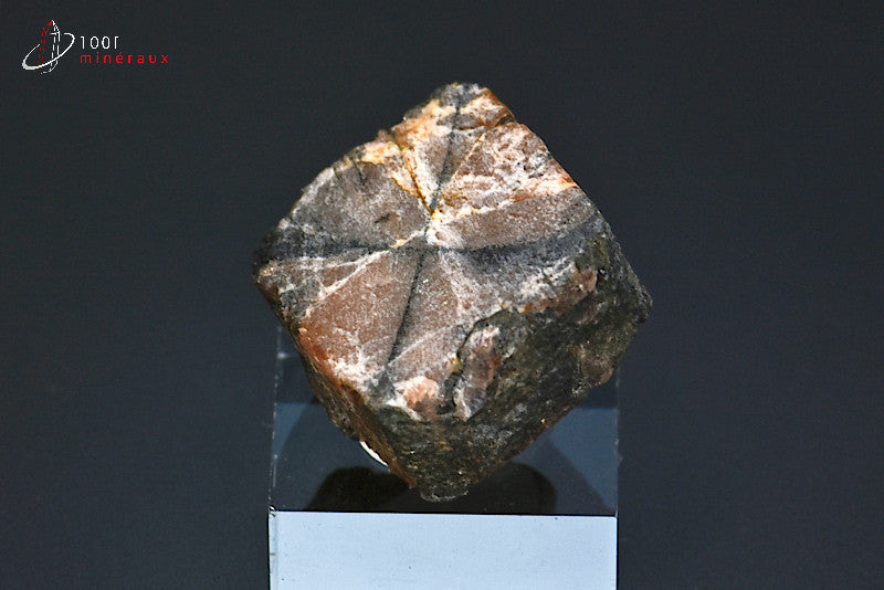 Minéral poli d'andalousite ou chiastolite de France