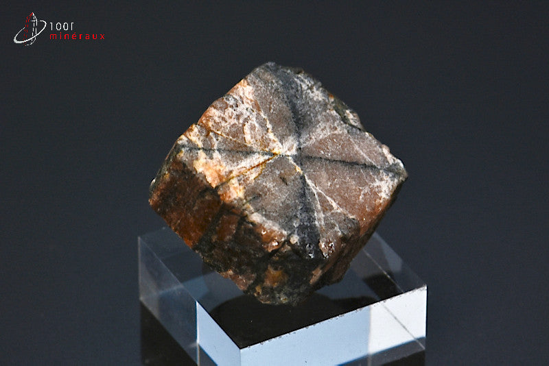 Minéral poli d'andalousite ou chiastolite de France