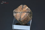 Chiastolite (ou Andalousite) polie - France - pierre polie 2,6 cm / 18g / BH946 - Vignette | 1001 minéraux