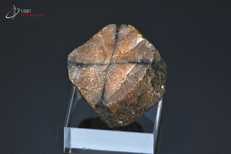 Minéral poli d'andalousite ou chiastolite de France