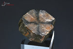 Chiastolite (ou Andalousite) polie - France - pierre polie 2,8 cm / 21g / BH947 - Vignette | 1001 minéraux