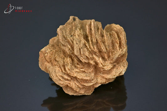 Minéral cristallisé de rose des sables du Sahara