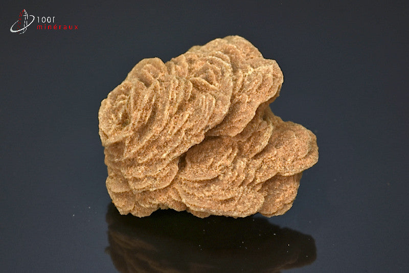 Minéral cristallisé de rose des sables du Sahara