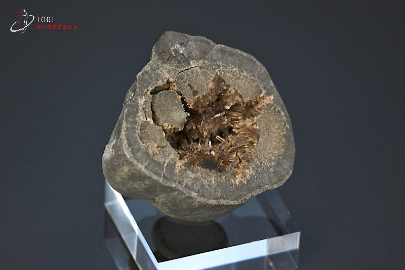 Minéral cristallisé de septaria de France