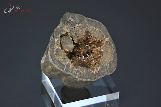 Minéral cristallisé de septaria de France