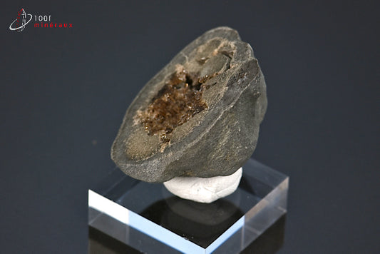 Minéral cristallisé de septaria de France