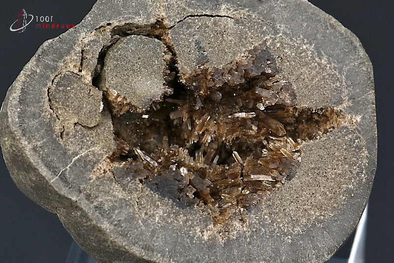 Minéral cristallisé de septaria de France