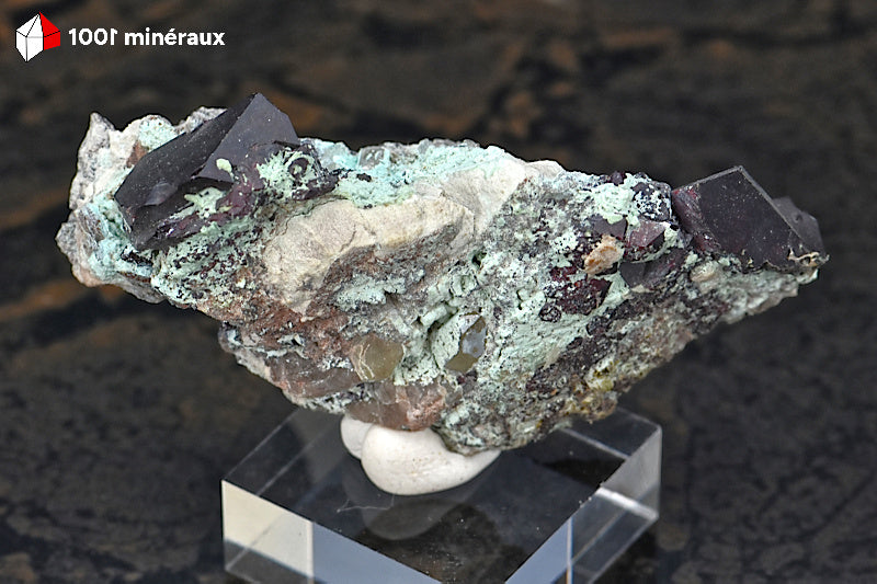 Cuprite sur Planchéite du Congo - Cristaux noirs sur matrice bleue. Pièce unique.
