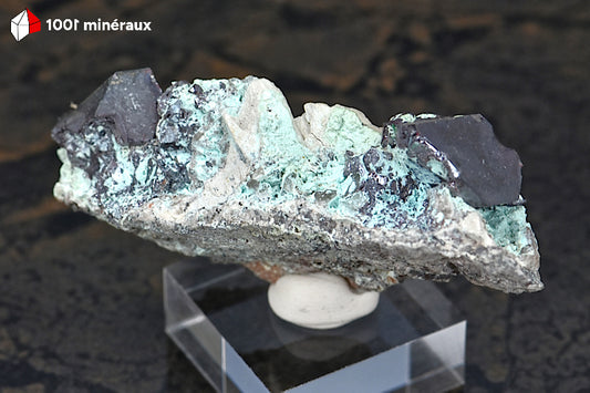 Cuprite sur Planchéite du Congo - Cristaux noirs sur matrice bleue. Pièce unique.
