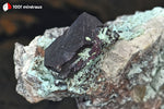 Cuprite sur Planchéite du Congo - 28g / BJ473 - Vignette | 1001 minéraux