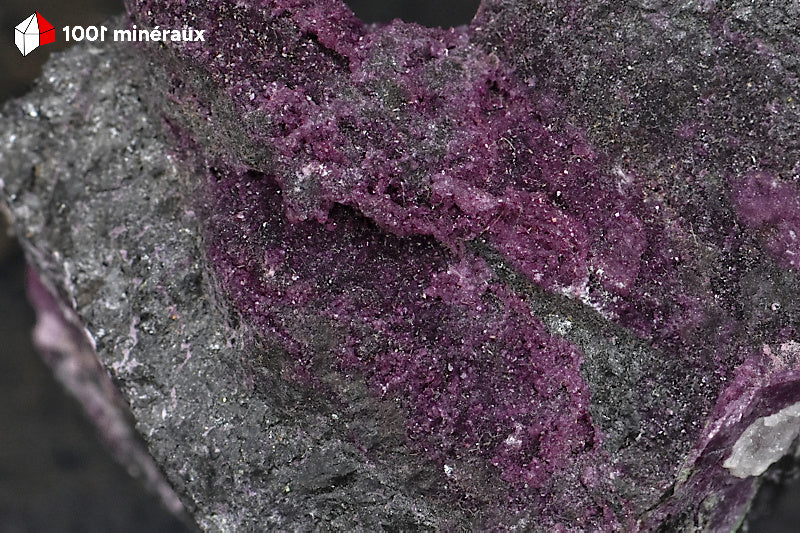Détail de la couleur rose-pourpre caractéristique de la Kammerérite.

