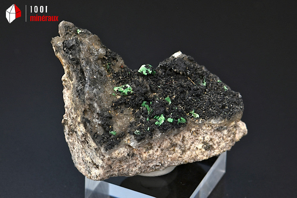 Minéral cristallisé de quartz morion et torbernite de France