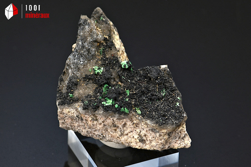 Minéral cristallisé de quartz morion et torbernite de France