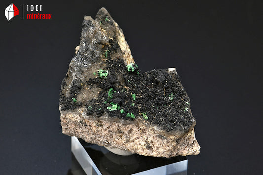 Minéral cristallisé de quartz morion et torbernite de France