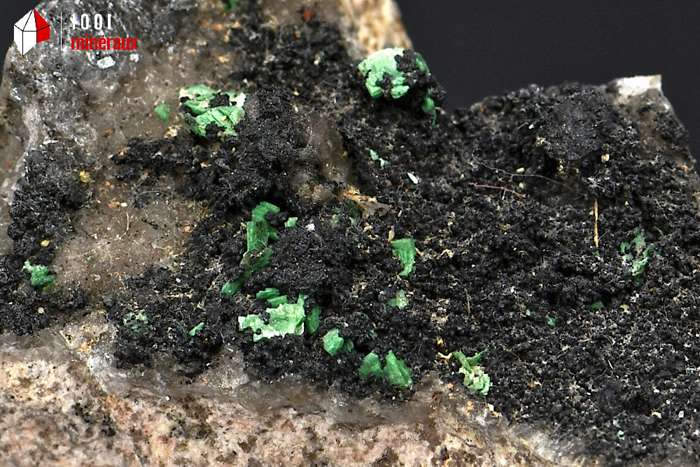 Minéral cristallisé de quartz morion et torbernite de France