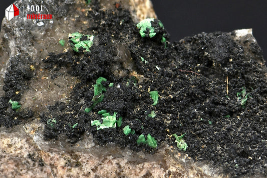 Minéral cristallisé de quartz morion et torbernite de France