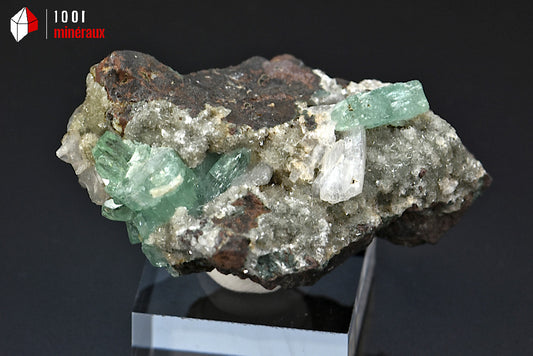 Minéral cristallisé d'apophyllite verte et stilbite d'Inde