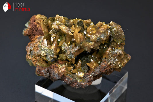 Minéral cristallisé de pyromorphite jaune du Mexique
