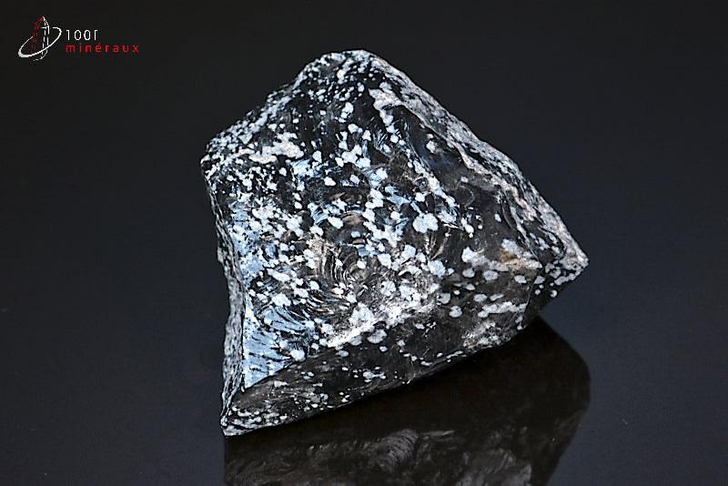Minéral brut d'obsidienne flocons de neige noire et blanche du Mexique