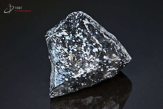 Minéral brut d'obsidienne flocons de neige noire et blanche du Mexique