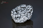 Obsidienne flocons de neige - Mexique - minéraux bruts 5,1 cm / 62g / BJ70 - Vignette | 1001 minéraux