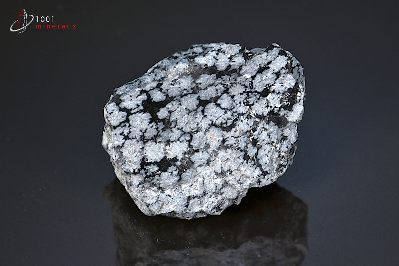 Minéral brut d'obsidienne flocons de neige noire et blanche du Mexique