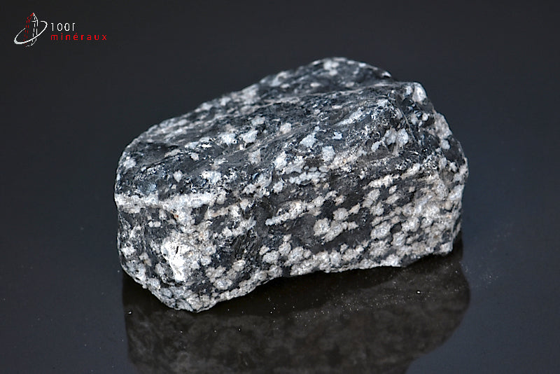 Minéral brut d'obsidienne flocons de neige noire et blanche du Mexique