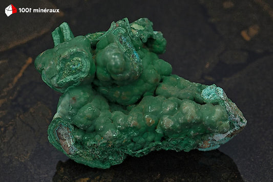Malachite botryoïdale RDC - Vue d'ensemble, mamelons vert vif et Chrysocolle bleue - 309 g - BJ808
