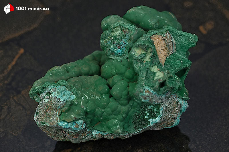 Malachite botryoïdale RDC - Vue de profil, relief des mamelons - 309 g - BJ808
