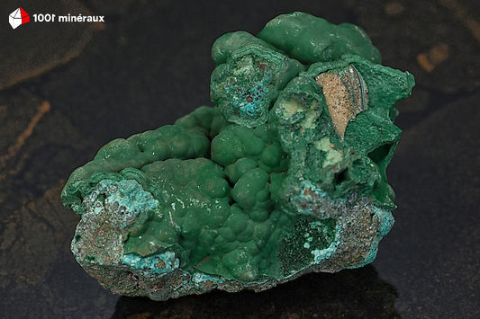 Malachite botryoïdale RDC - Vue de profil, relief des mamelons - 309 g - BJ808
