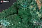 Malachite botryoïdale de la République Démocratique du Congo avec Chrysocolle - 309 g / BJ808 - Vignette | 1001 minéraux