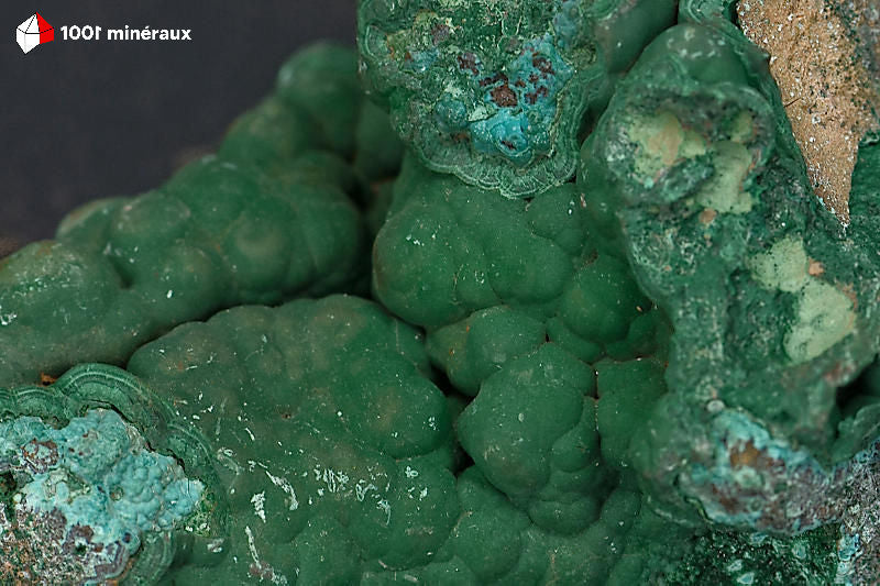 Malachite botryoïdale RDC - Détail affleurement Chrysocolle bleue - 309 g
