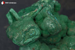 Malachite botryoïdale de la République Démocratique du Congo avec Chrysocolle - 309 g / BJ808 - Vignette | 1001 minéraux