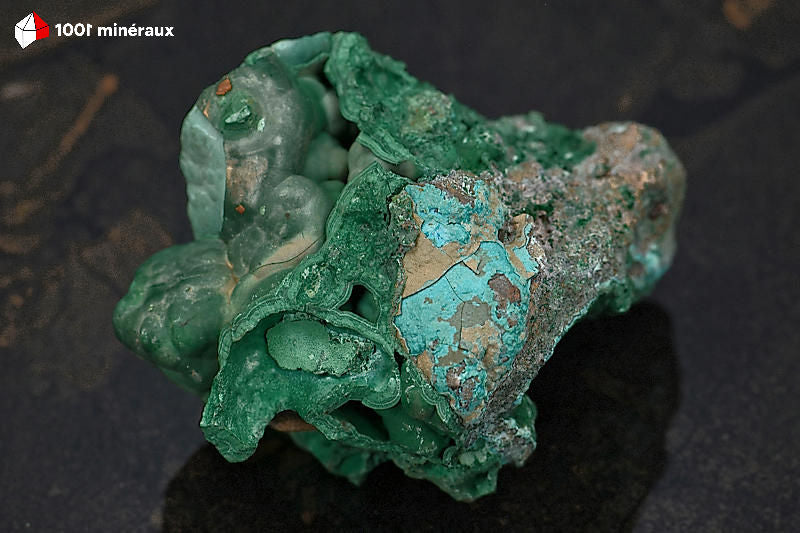 Malachite botryoïdale RDC - Vue d'ensemble face secondaire - 309 g
