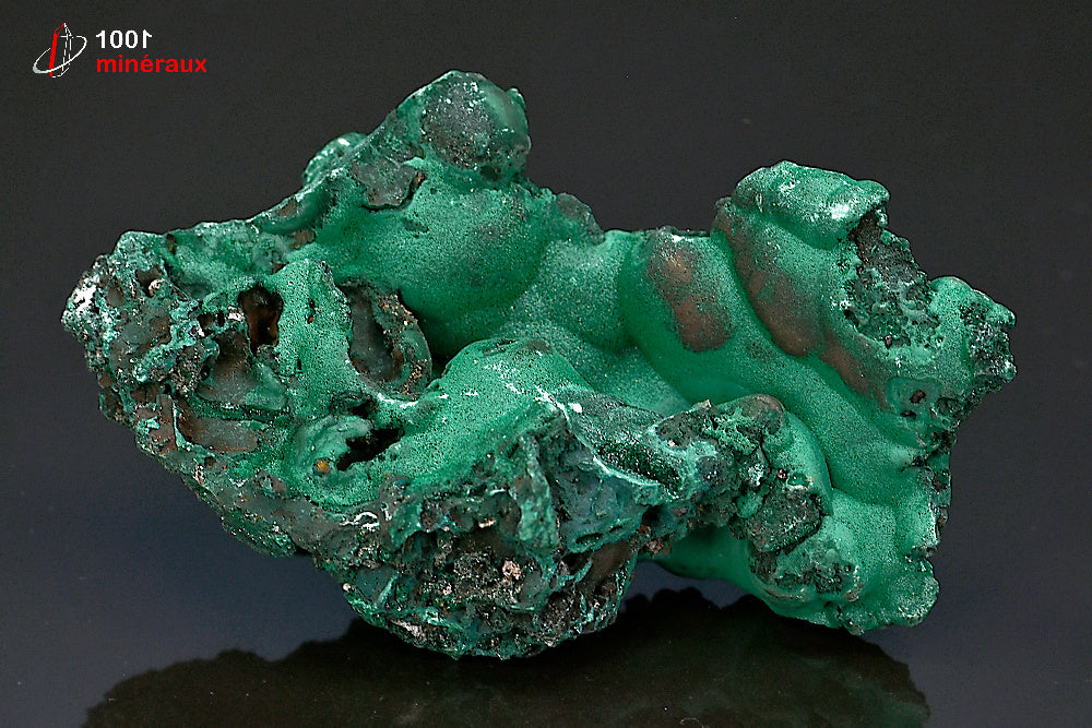 Minéral cristallisé de malachite verte mamelonnée de République démocratique du Congo