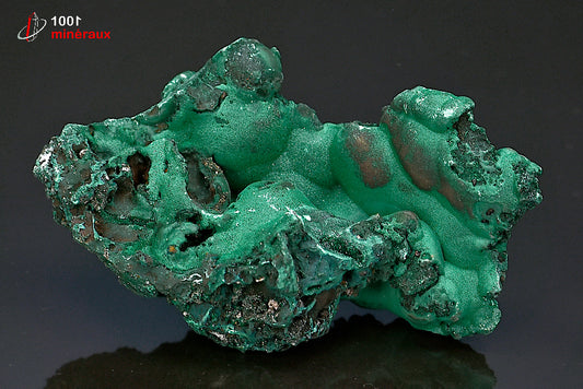 Minéral cristallisé de malachite verte mamelonnée de République démocratique du Congo