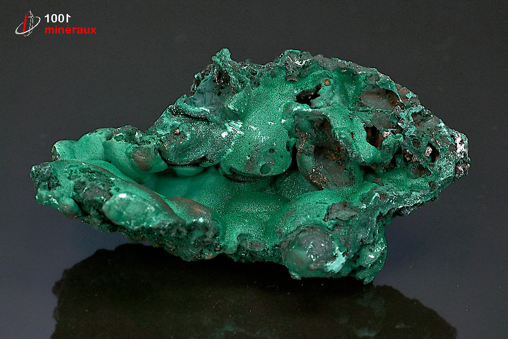 Minéral cristallisé de malachite verte mamelonnée de République démocratique du Congo