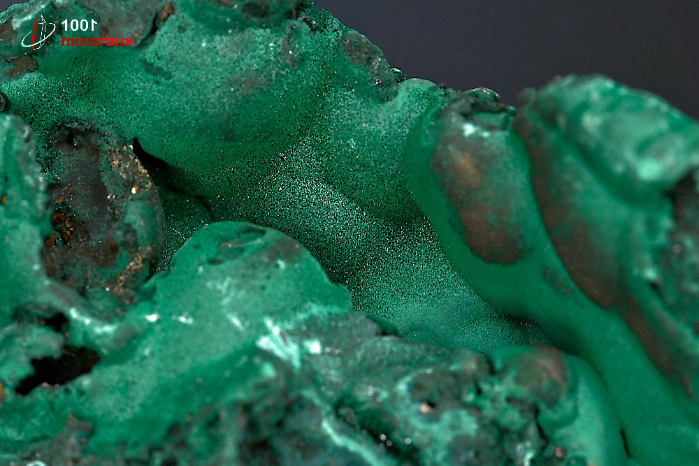 Minéral cristallisé de malachite verte mamelonnée de République démocratique du Congo