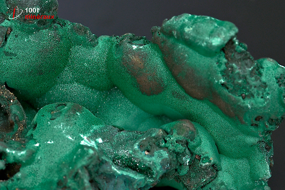 Minéral cristallisé de malachite verte mamelonnée de République démocratique du Congo